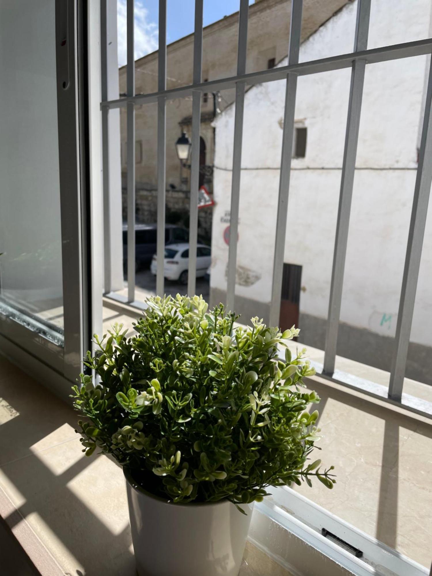 Apartamento Casa Delia Bornos Exterior foto